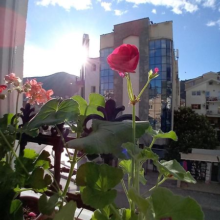 Kiwi Apartments Budva Kültér fotó